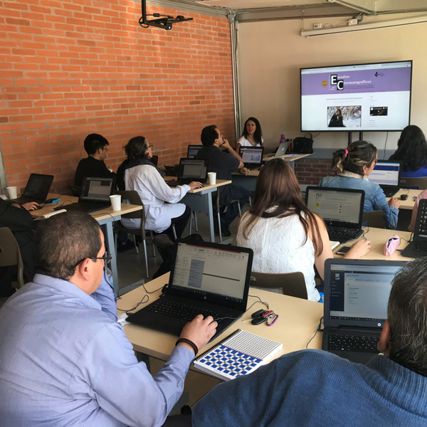 Apoyo a la profesionalización, cursos y talleres Libros UNAM