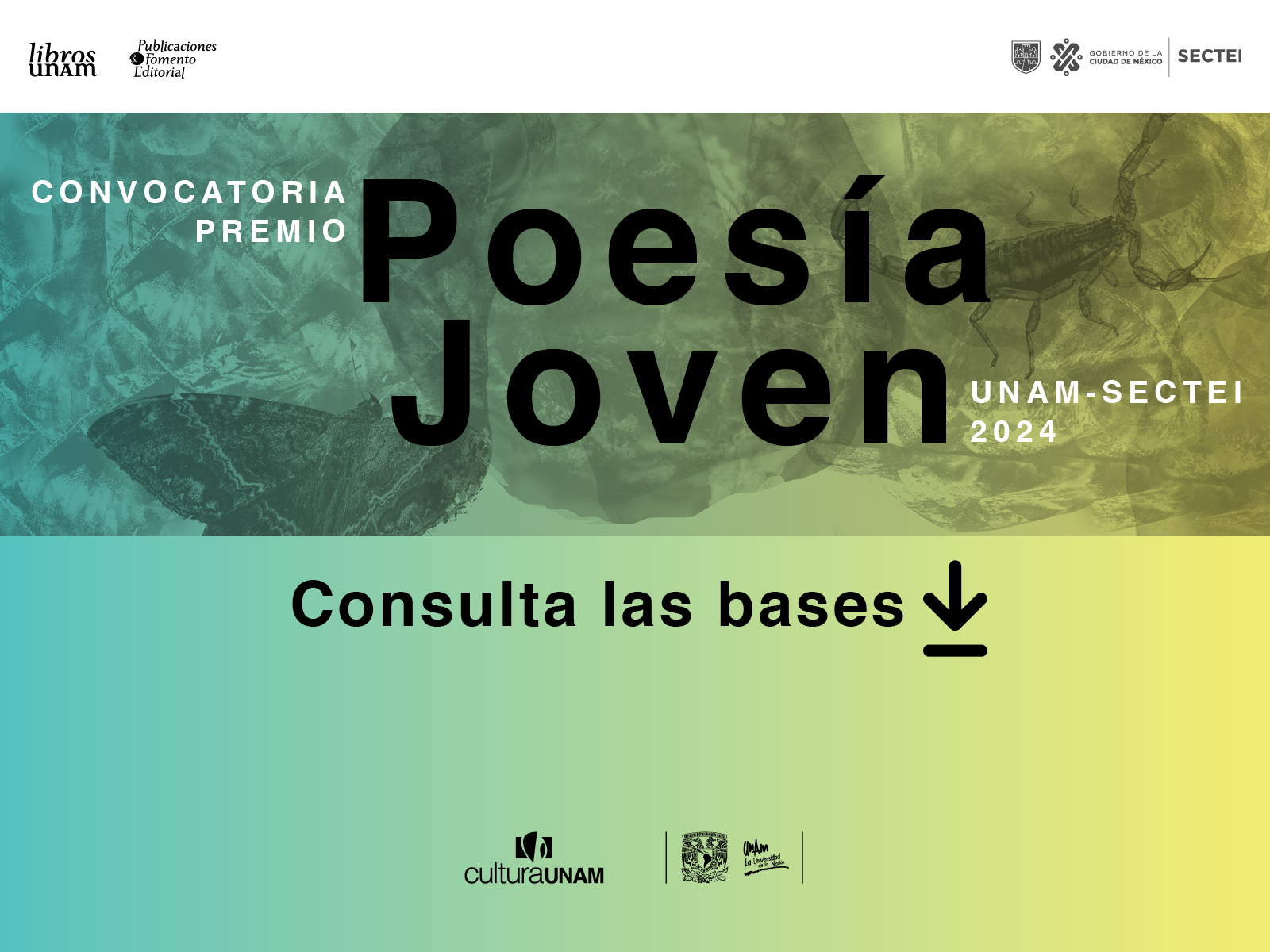  Convocatoria Poesía Joven 2024 - Libro UNAM