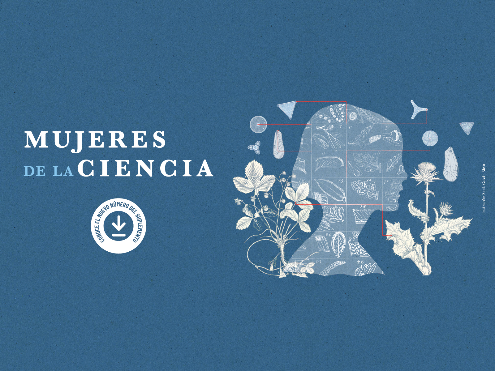 Mujeres de la ciencia, suplemento marzo 2025 - Libros UNAM